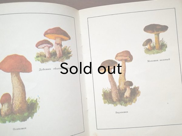 画像3: ソヴィエト　きのこ、あなたの森　1975年