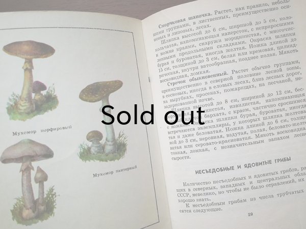 画像4: ソヴィエト　きのこ、あなたの森　1975年