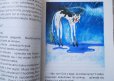 画像3: ポーランド　読み物　ヤン・グラボウスキ「エウロパという猫についての話」　1981年 (3)