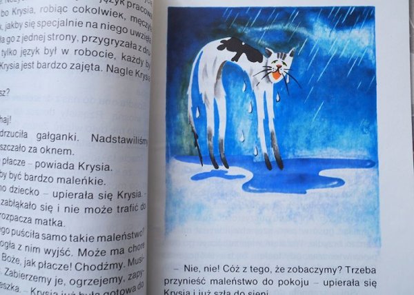 画像3: ポーランド　読み物　ヤン・グラボウスキ「エウロパという猫についての話」　1981年