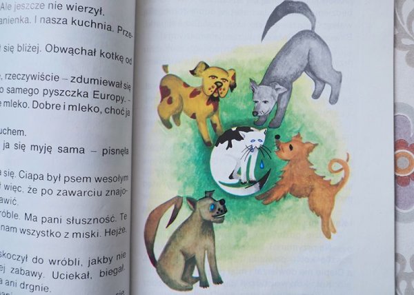 画像2: ポーランド　読み物　ヤン・グラボウスキ「エウロパという猫についての話」　1981年