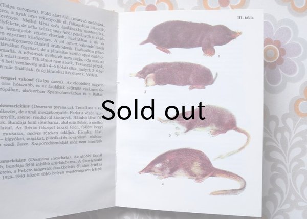 画像4: ハンガリー　ミニ図鑑「小型哺乳類」　1981年