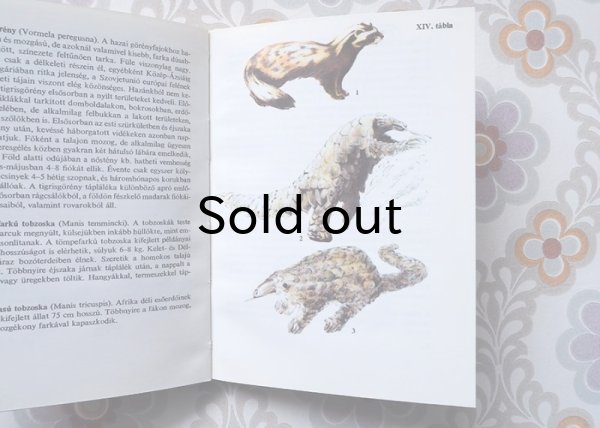 画像6: ハンガリー　ミニ図鑑「小型哺乳類」　1981年