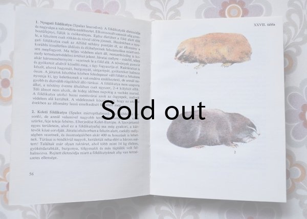 画像2: ハンガリー　ミニ図鑑「小型哺乳類」　1981年