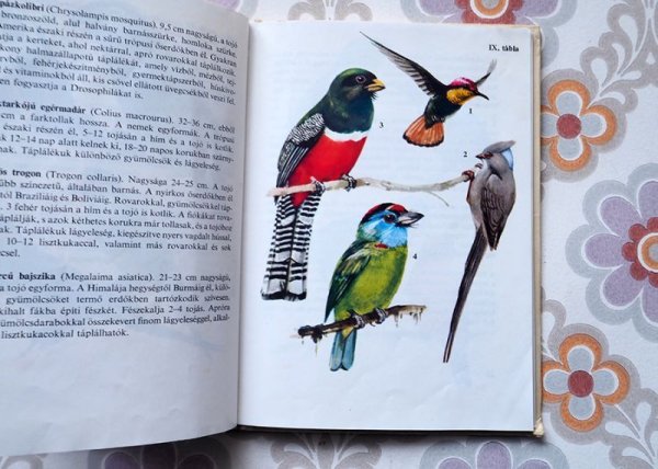 画像2: ハンガリー　ミニ図鑑「観賞用の鳥」　1976年