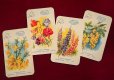 画像2: 東ドイツカードゲーム　「美しい花」 (2)