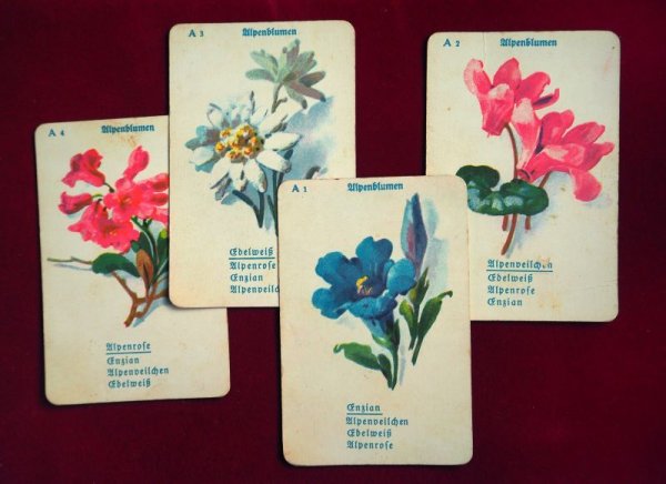 画像3: ドイツ　カードゲーム「花」