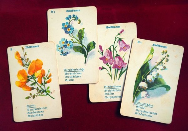 画像2: ドイツ　カードゲーム「花」
