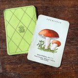 東ドイツ　きのこのカードゲーム　（バラ10枚）
