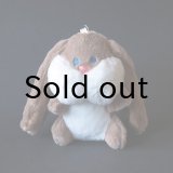 チェコ　ふわふわうさぎのマスコット　現行品