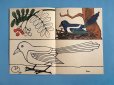 画像2: 東ドイツ　塗り絵冊子　1960年〜　「私たちの鳥の世界から」 (2)