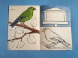 画像4: 東ドイツ　塗り絵冊子　1960年〜　「私たちの鳥の世界から」 (4)