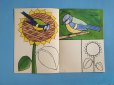 画像3: 東ドイツ　塗り絵冊子　1960年〜　「私たちの鳥の世界から」 (3)