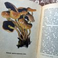 画像3: ソヴィエト　キノコ図鑑　1970年　（ベラルーシ）