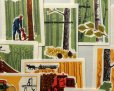 画像3: ヴィンテージマッチラベル　ソヴィエト　1969年　森林開発 (3)