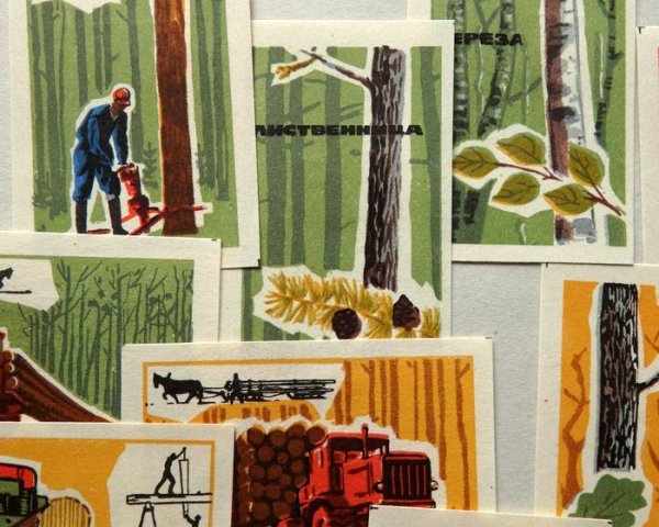 画像3: ヴィンテージマッチラベル　ソヴィエト　1969年　森林開発