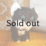 東ドイツ　胴長の黒猫