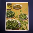 画像1: ソヴィエト健康食本　イラストページE （裏表のページ）　1950-60年 (1)