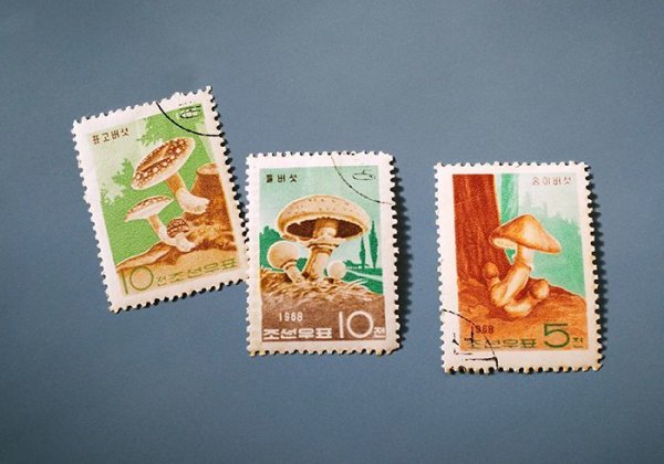 画像1: 北朝鮮切手　1969年　きのこ3P　CTO (1)